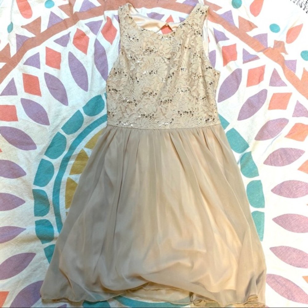 ✨Speechless✨ Champagne Lace & Chiffon Party Dress